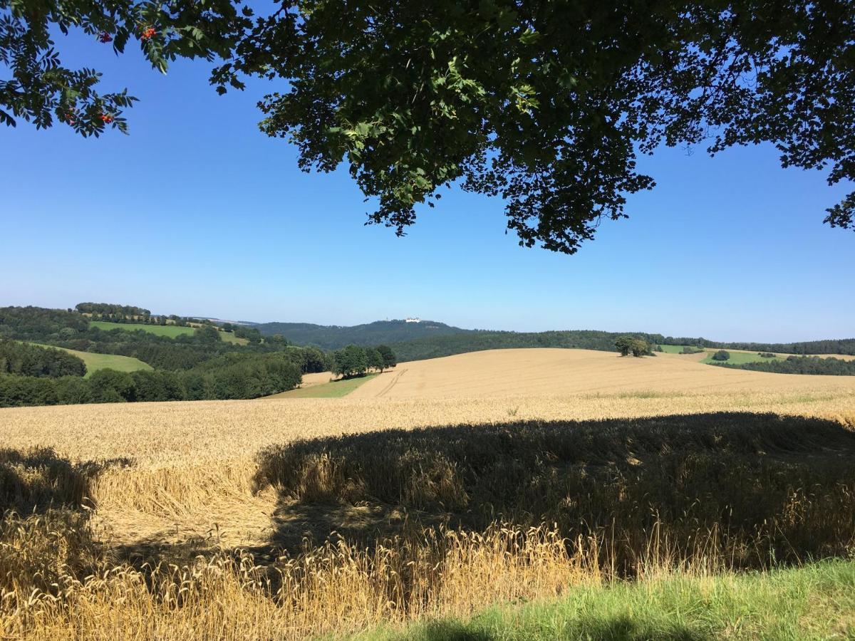 Zschopau Ferienwohnungen Am Feldrain - Gornau Im Erzgebirge מראה חיצוני תמונה