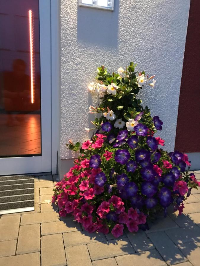 Zschopau Ferienwohnungen Am Feldrain - Gornau Im Erzgebirge מראה חיצוני תמונה